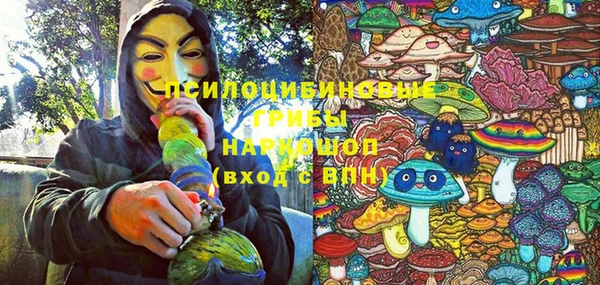 ECSTASY Осинники