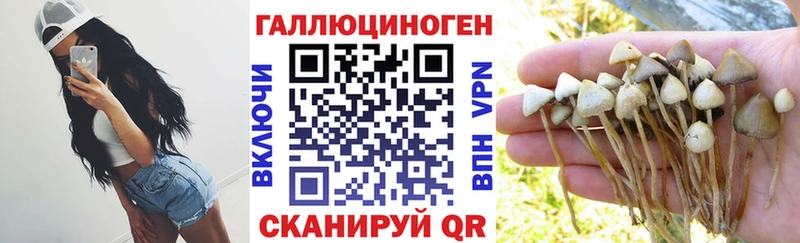 Галлюциногенные грибы Psilocybe  hydra рабочий сайт  Мантурово 